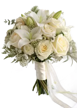 Imagen PNG para descargar